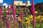 Erholung in Südtirol (Foto: Schloss Trauttmansdorff) Erholung in Südtirol (Foto: Schloss Trauttmansdorff)