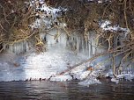 Eisige Schönheiten an der Zorge (Foto: nnz) Eisige Schönheiten an der Zorge (Foto: nnz)