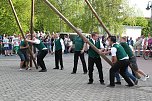 Maibaum in Bielen gesetzt (Foto: nnz)