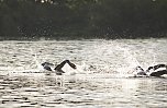 Triathlon (Foto: blitzlicht-nordhausen.de) Triathlon (Foto: blitzlicht-nordhausen.de)