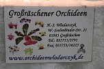 Orchideen in Nordhausen (Foto: Peter Blei)