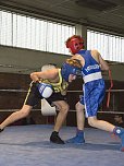 Im Kleinring geboxt (Foto: Karsten Thorhauer) Im Kleinring geboxt (Foto: Karsten Thorhauer)
