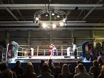 Boxnacht in Nordhausen (Foto: Karsten Thorhauer)