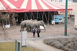 Der Zirkus stellt sich vor (Foto: Peter Blei)