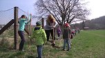 Laubb&auml;ume gepflanzt (Foto: nnz)