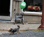 Zwischen zwei Bühnen unterwegs (Foto: Peter Blei) Zwischen zwei Bühnen unterwegs (Foto: Peter Blei)