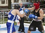 Boxen in Bleicherode (Foto: Karsten Thorhauer)