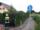 Hecke brannte in Bielen (Foto: Feuerwehr)