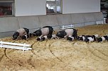 Besuch auf der Forst-Farm (Foto: nnz) Besuch auf der Forst-Farm (Foto: nnz)