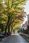 Herbst in Nordhausen (Foto: Michael Caspari ( www.blitzlicht-nordhausen.de ))