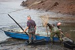 Abgefischt (Teil 1) (Foto: Helmut Michel)