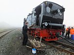 Lok-Luft geschnuppert (Foto: Karin Lehmann)