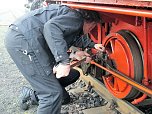 Lok-Luft geschnuppert (Foto: Karin Lehmann)