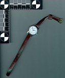 Diebesgut (Foto: Polizei)