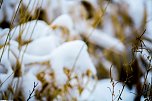 Winterliche Impressionen (Foto: Gernot Thelemann)