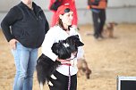 Hundesport und Faschingskost&uuml;m (Foto: nnz)