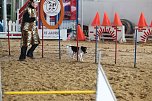 Hundesport und Faschingskost&uuml;m (Foto: nnz)
