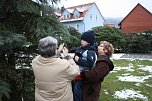 Der Weihnachtsbaum steht (Foto: Seifert)