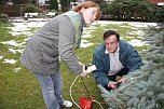 Der Weihnachtsbaum steht (Foto: Seifert)