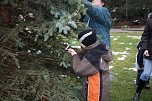 Der Weihnachtsbaum steht (Foto: Seifert)