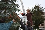Der Weihnachtsbaum steht (Foto: Seifert)
