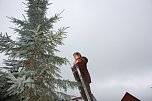 Der Weihnachtsbaum steht (Foto: Seifert)