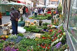 Fr&uuml;hlingsmarkt in Bleicherode (Foto: Bernd Peter)
