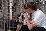 Besucherrekord im Tierheim (Foto: Sandra Witzel) Besucherrekord im Tierheim (Foto: Sandra Witzel)