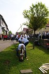 Maibaum in Obergebra gesetzt (Foto: Michael Randel) Maibaum in Obergebra gesetzt (Foto: Michael Randel)