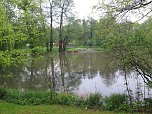 Wasser im Teich und im Park (Foto: nnz)