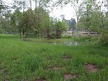 Wasser im Teich und im Park (Foto: nnz)