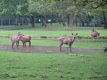 Wasser im Teich und im Park (Foto: nnz)