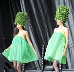 Flower Power beim Rolandsfest (Foto: Karin Lehmann, Peter Blei) Flower Power beim Rolandsfest (Foto: Karin Lehmann, Peter Blei)