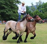 Ponyfest in W&uuml;lfingerode (Foto: Berti Voigt)