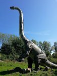 Dinosaurier auf R&uuml;gen (Foto: Karin Lehmann, Peter Blei)