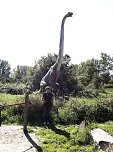 Dinosaurier auf R&uuml;gen (Foto: Karin Lehmann, Peter Blei)