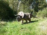 Dinosaurier auf R&uuml;gen (Foto: Karin Lehmann, Peter Blei)