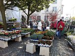 Der etwas andere Markt (Foto: Peter Blei) Der etwas andere Markt (Foto: Peter Blei)