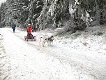 Beim Schlittenhunderennen dabei  (Foto: S. Eicke)
