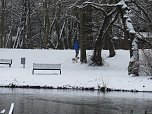 Winter im Park (Foto: Baumann)