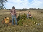 Der Nordhäuser Kreisverband des BUND beim Arbeitseinsatz auf den Pfaffenköpfen (Foto: Bodo Schwarzberg) Der Nordhäuser Kreisverband des BUND beim Arbeitseinsatz auf den Pfaffenköpfen (Foto: Bodo Schwarzberg)
