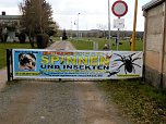 Insekten und mehr in Sundhausen (Foto: Peter Blei)