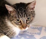 Animal hording in Nordhausen (Foto: privat) Animal hording in Nordhausen (Foto: privat)