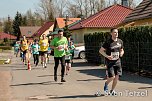 Voller Erfolg - 2. Harztor-Lauf (Foto: Sven Tetzel)