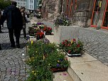 Geranien - und Blumenmarkt auf dem Nordh&auml;user Rathausplatz (Foto: Peter Blei)
