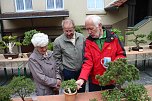 Fern&ouml;stliche Kunst in Gr&uuml;n - Bonsai-Ausstellung in der Echte Nordh&auml;user Traditionsbrennerei (Foto: Angelo Glashagel)