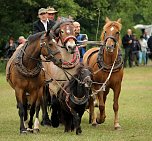 Pferde, Pferde und nochmals Pferde (Foto: Berti Voigt)