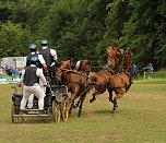 Pferde, Pferde und nochmals Pferde (Foto: Berti Voigt)