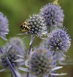 An- und Aussichten (Foto: Peter Blei)