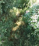 Fahrrad-Exkursion entlang Zorge und Helme (Foto: privat)